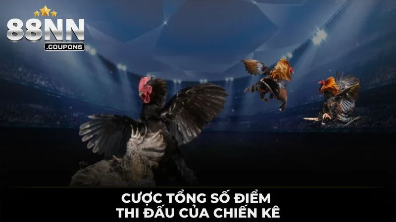 Cược tổng số điểm thi đấu của chiến kê